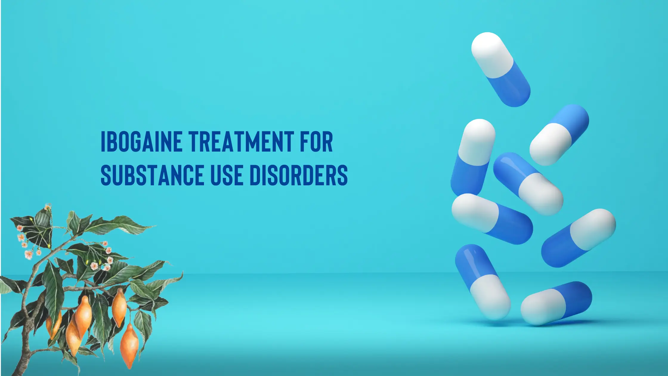 Ibogaine Treatment for Substance Use Disorders