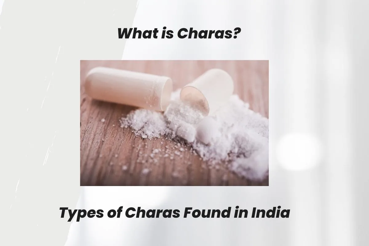 What is Charas? Types of Charas Found in India