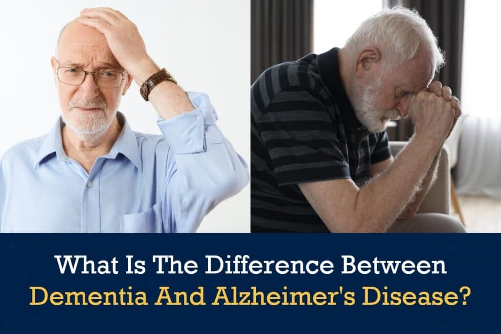 difference between dementia and alzheimer's disease (1)